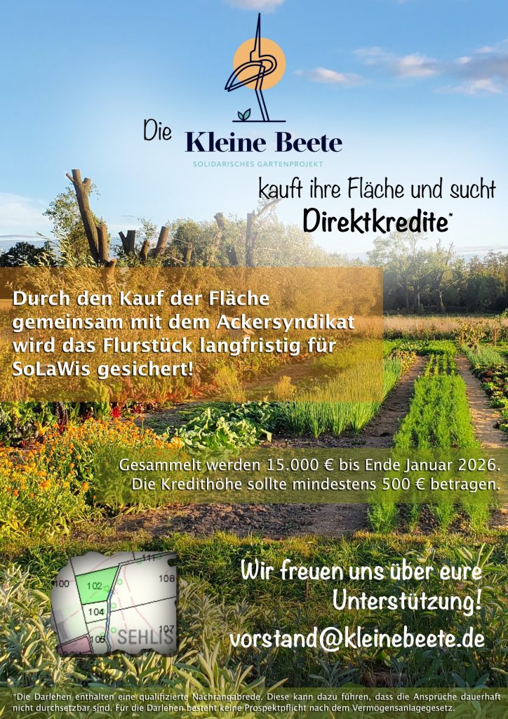 Die Kleine Beete kauft ihre Fläche und sucht Direktkredite*
Durch den Kauf der Fläche gemeinsam mit dem Ackersyndikat wird das Flurstück langfristig für SoLaWis gesichert!
Gesammelt werden 15.000€ bis Ende Januar 2026. Die Kredithöhe sollte mindestens 500€ betragen.
Wir freuen uns über eure Unterstützung!
vorstand@kleinebeete.de
*Die Darlehen enthalten eine qualifizierte Nachrangabrede. Diese kann dazu führen, dass die Ansprüche dauerhaft nicht durchsetzbar sind. Für die Darlehen besteht keine Prospektpflicht nach dem Vermögensanlagegesetz.